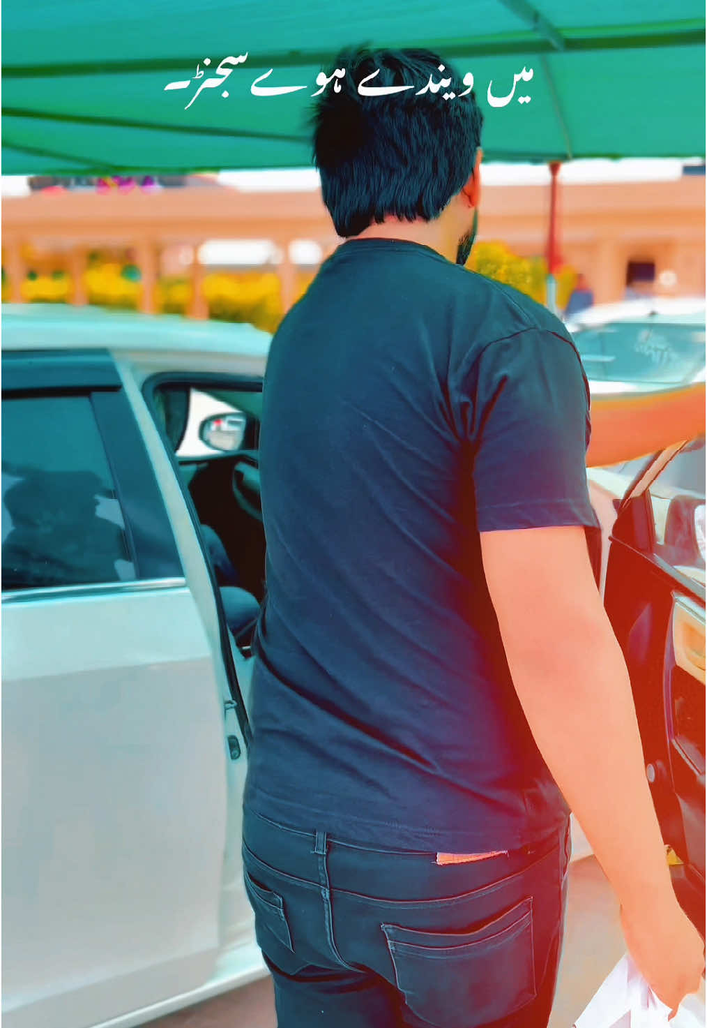 @✨٭میاں علی شان ٭✨