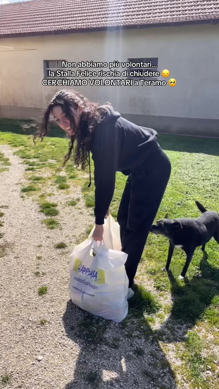 @chiaratarquini