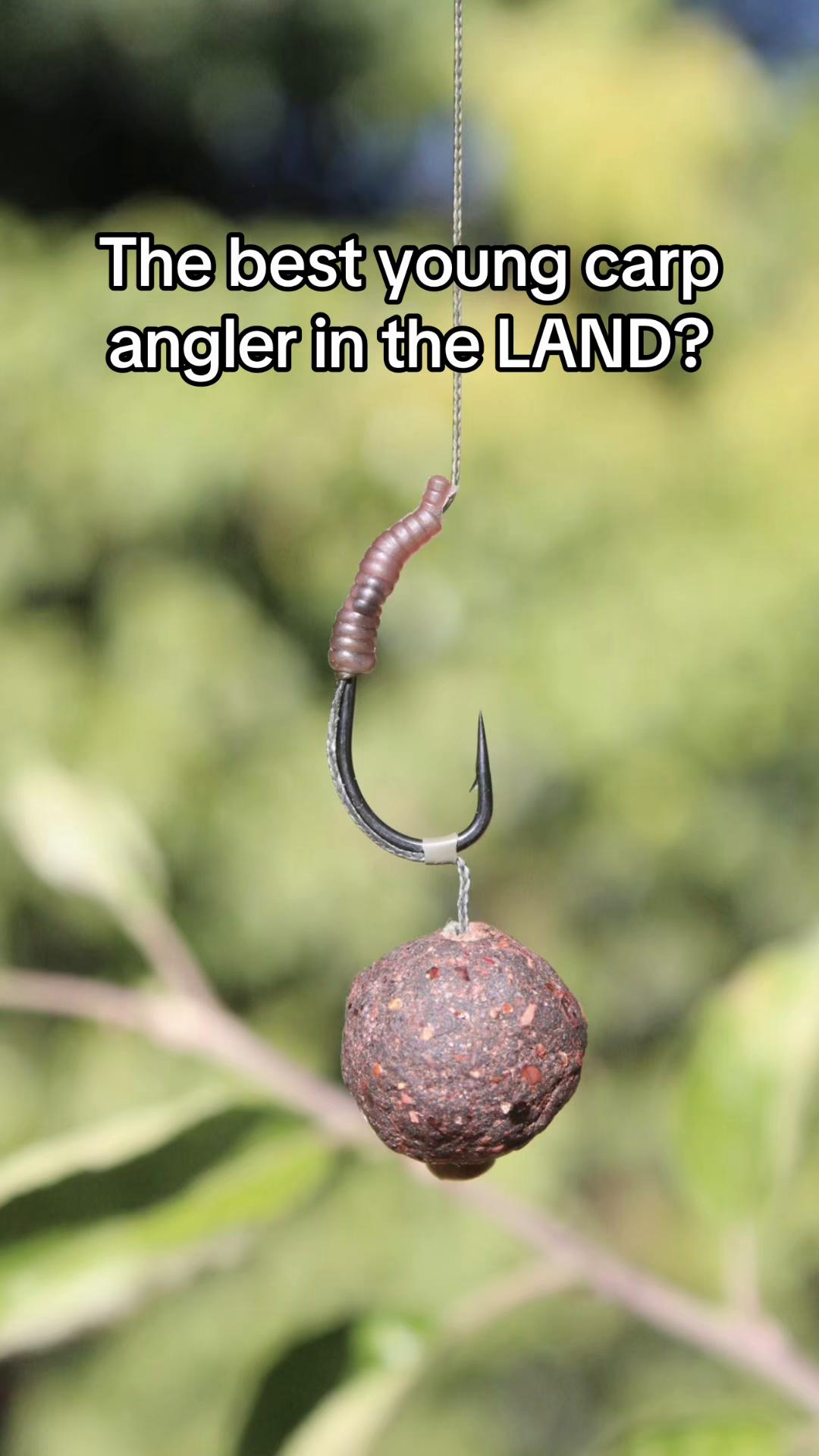 @Ali Hamidi Angler