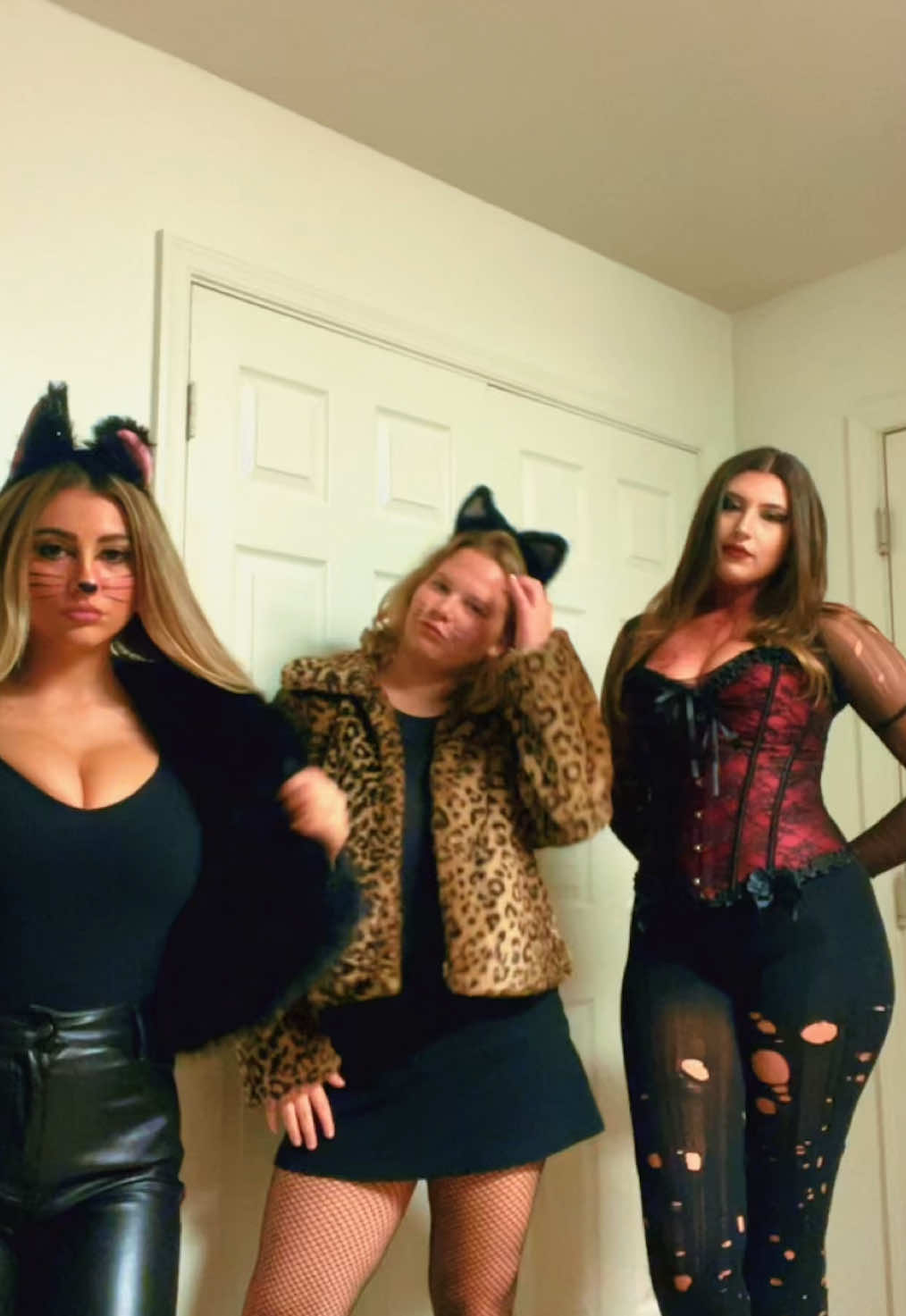 @Carly Cohen