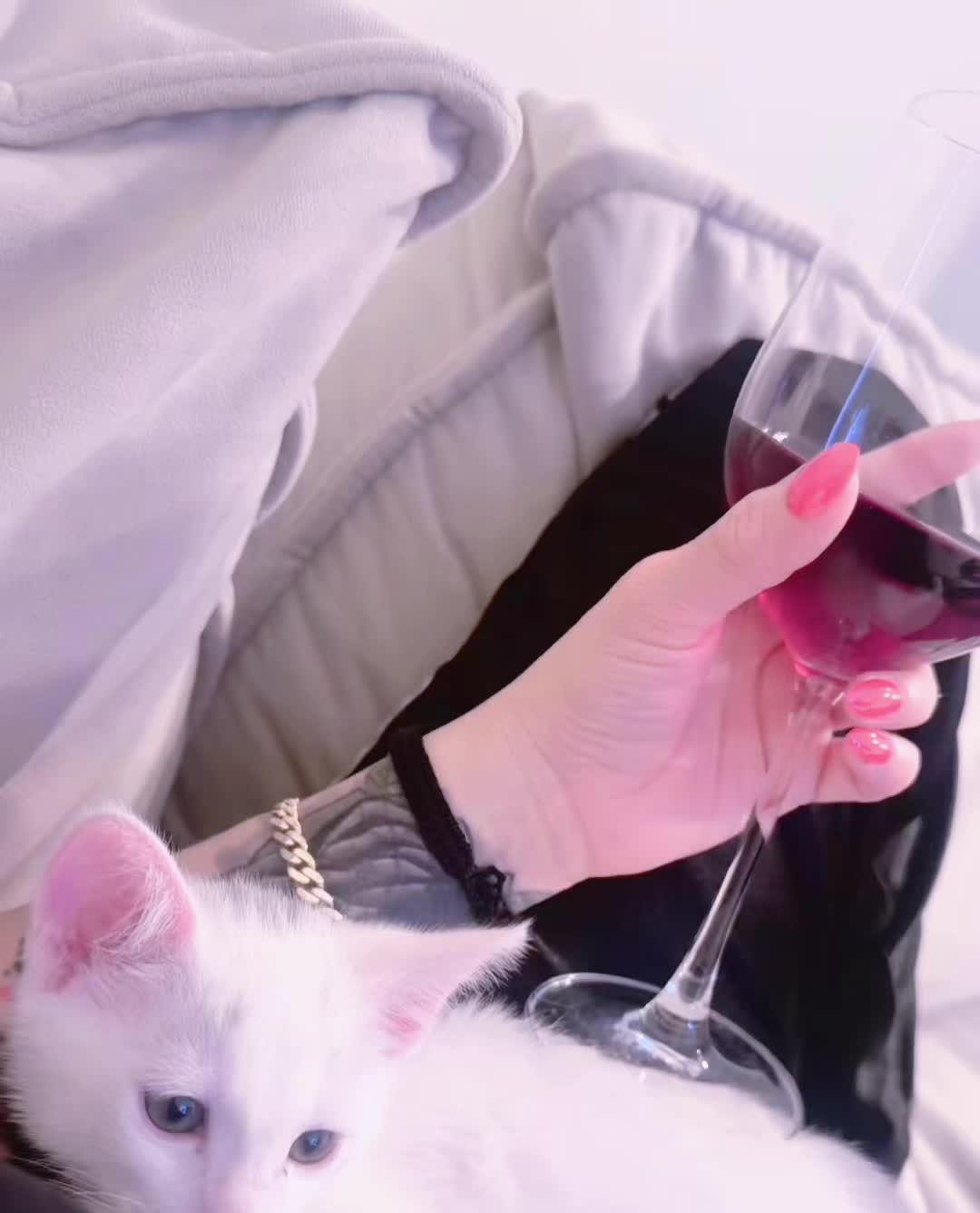@Scarleth