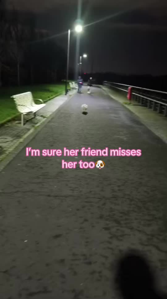 @Jaya Dąbek ❥