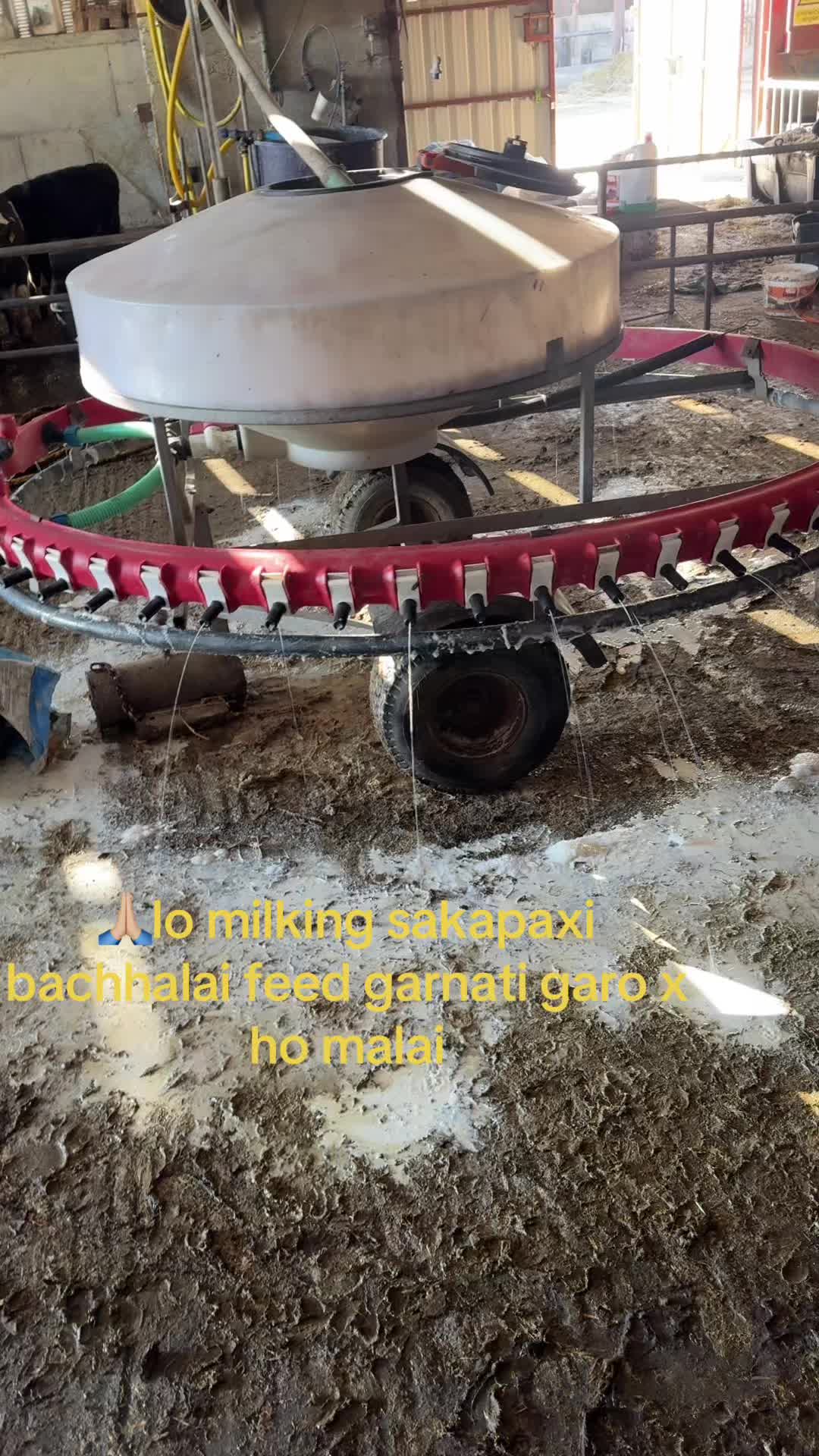 @Arjunkarki🇳🇵🙏🏼❤️🇮🇪🇮🇪