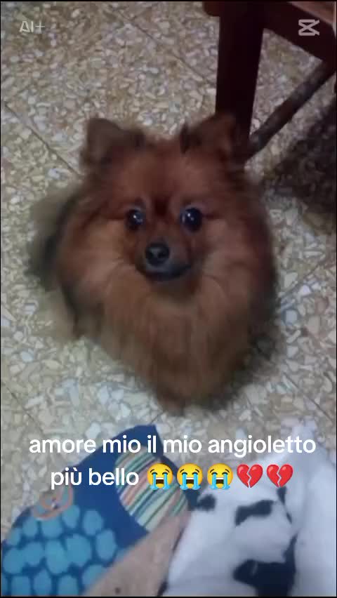 @Carmela Aiello