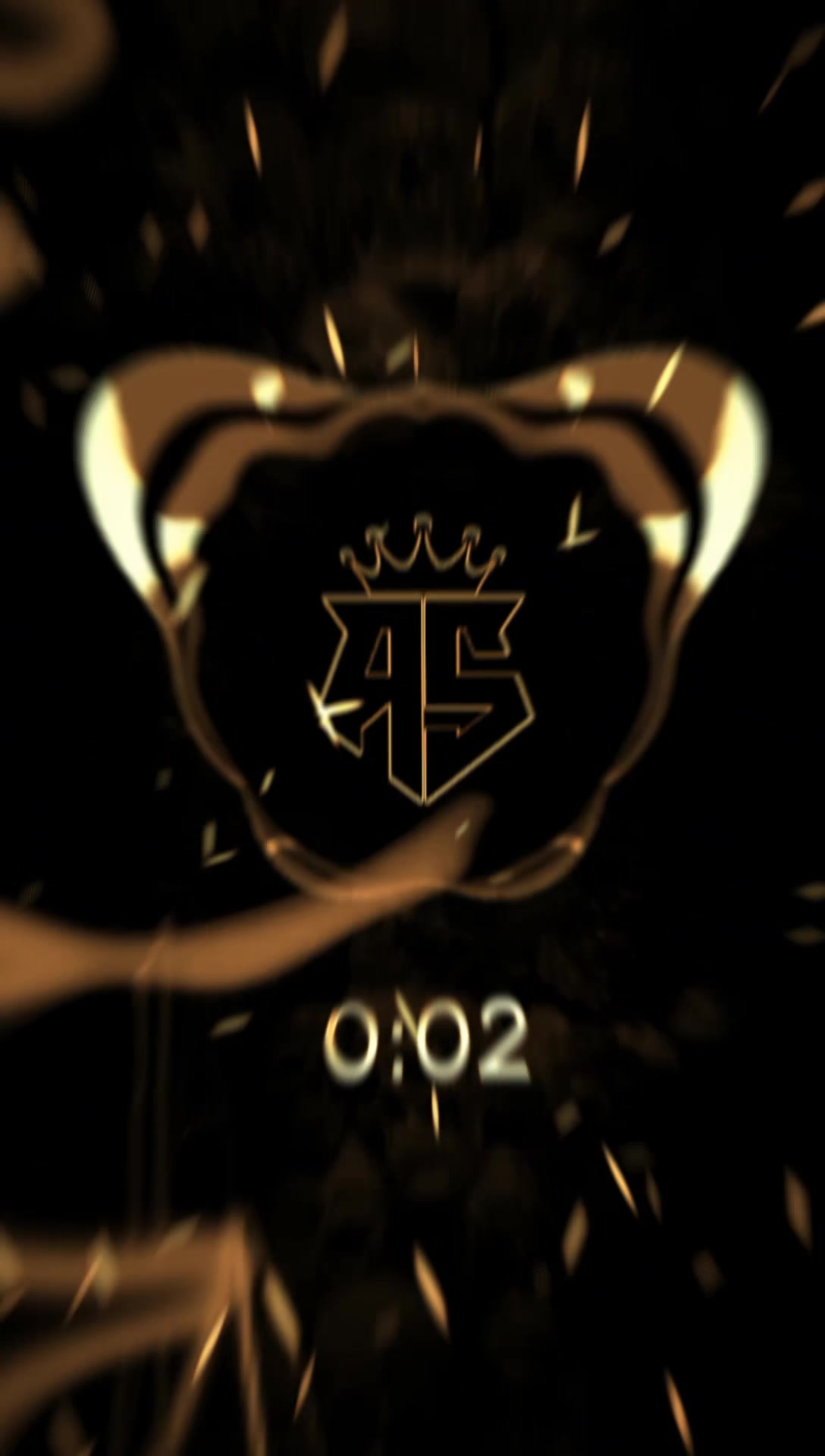 @RS PHONK