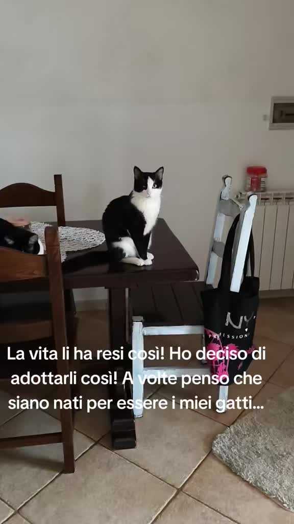 @patriziaparis795