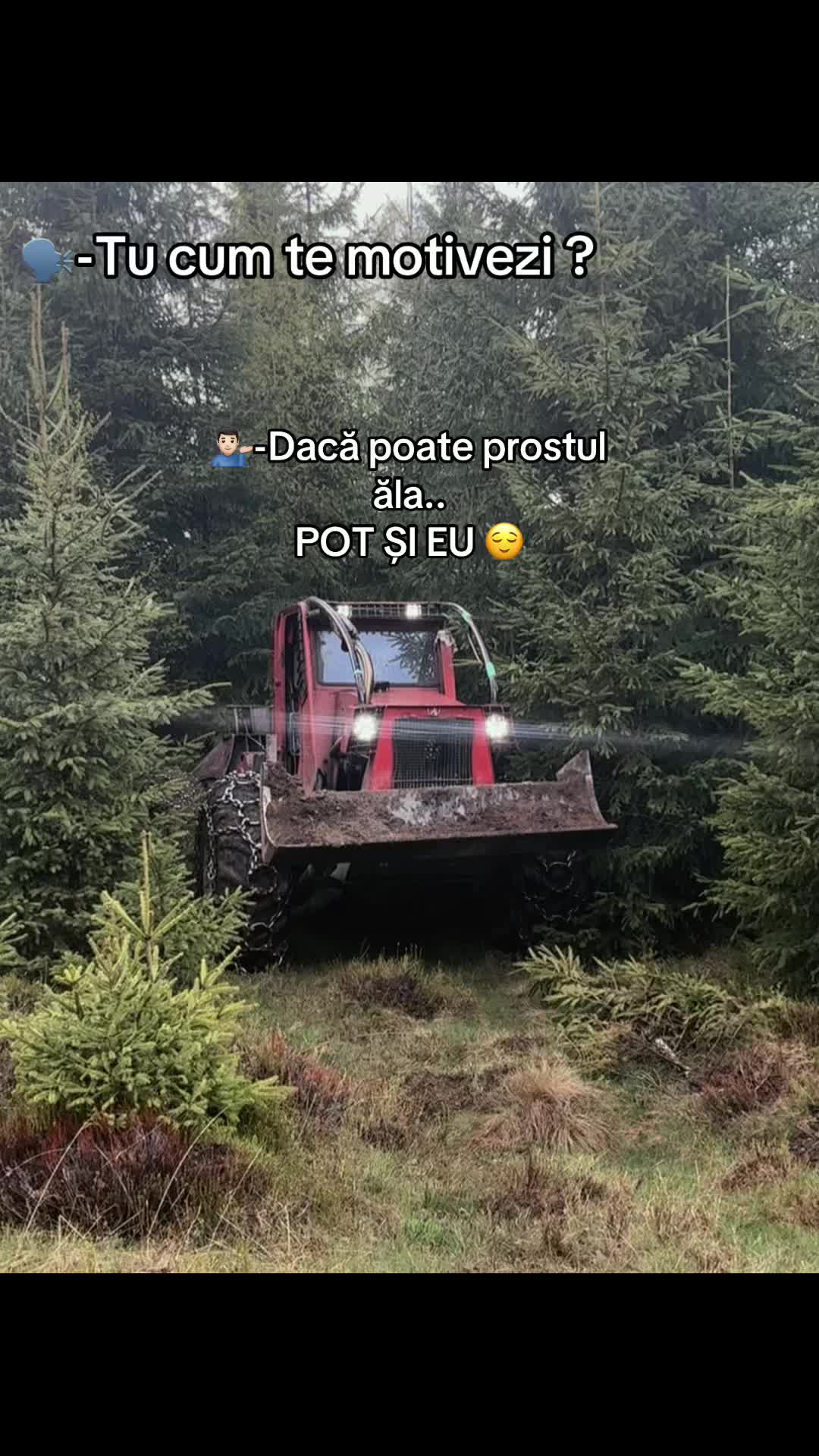 @Darius🌲