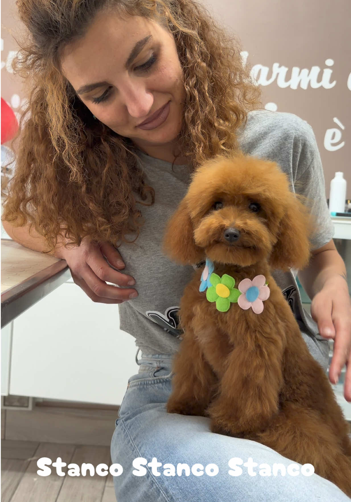 @NewDog Toelettatura & Pet Shop
