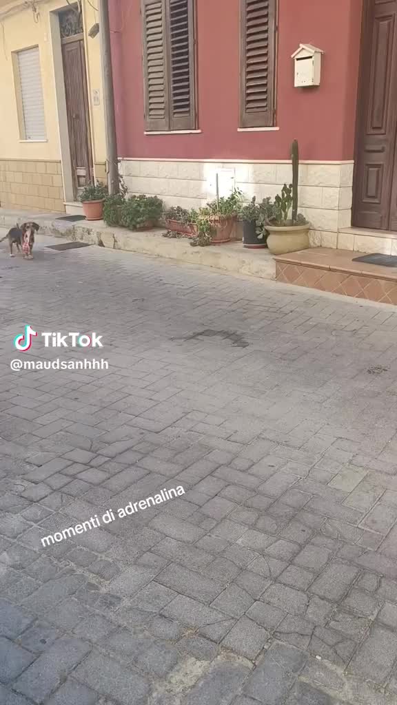 @eyeold