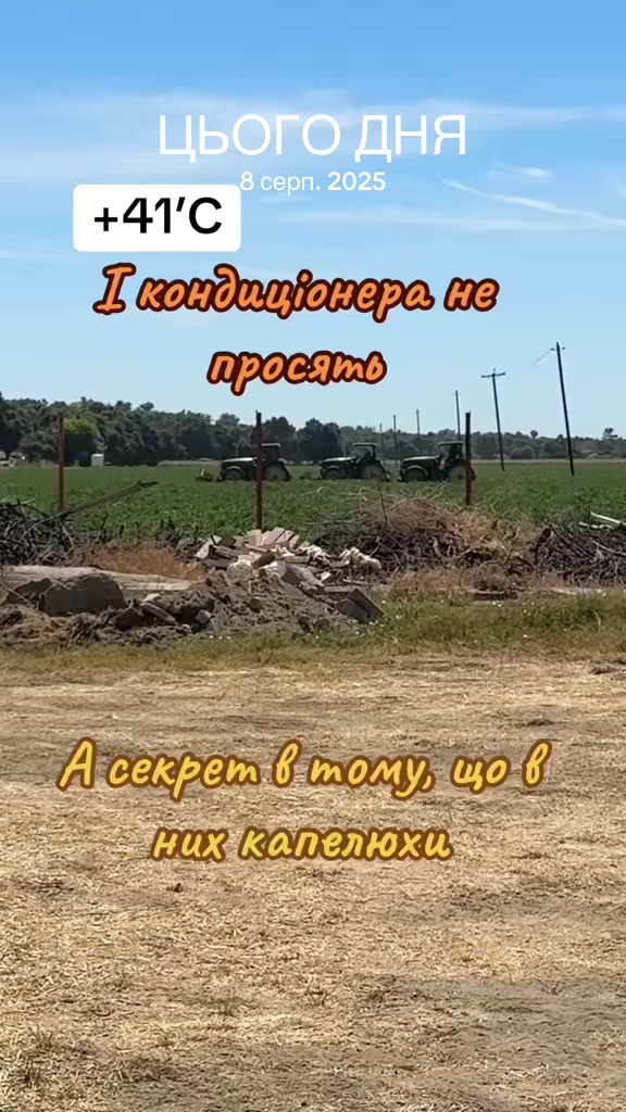 @Taras Loza
