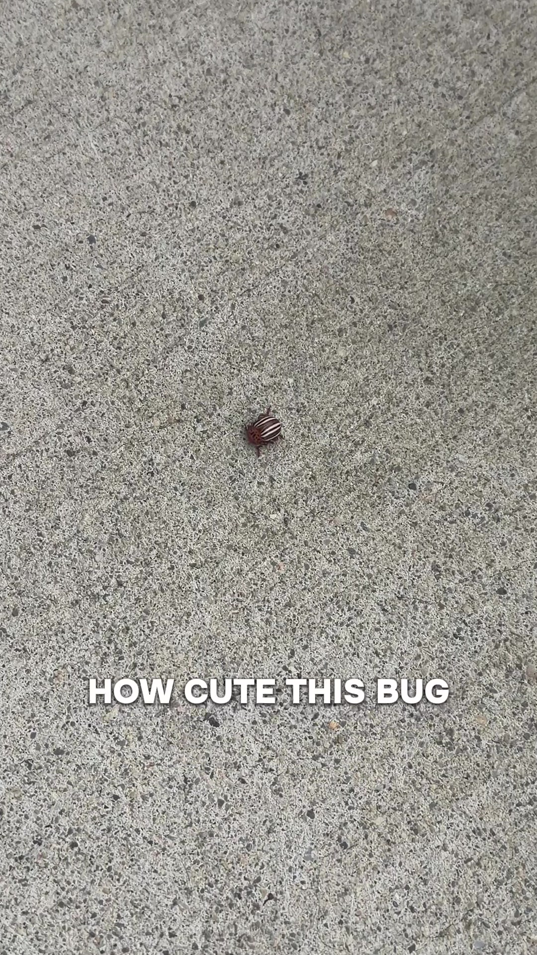 @Moni