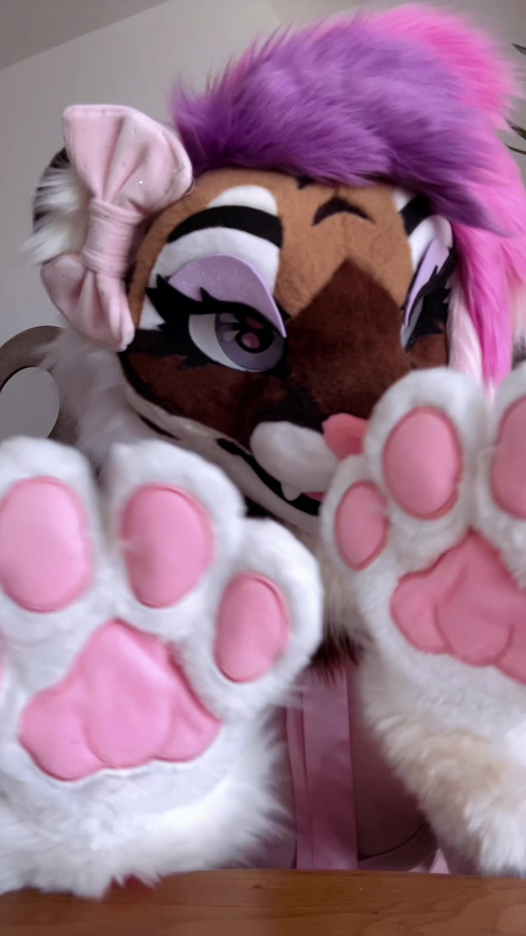 @🤍🎀 𝓐𝓷𝓰𝓮𝓵 🎀🤍CFZ2026