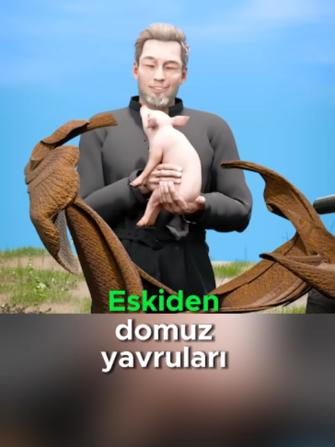 @Funny Highlights
