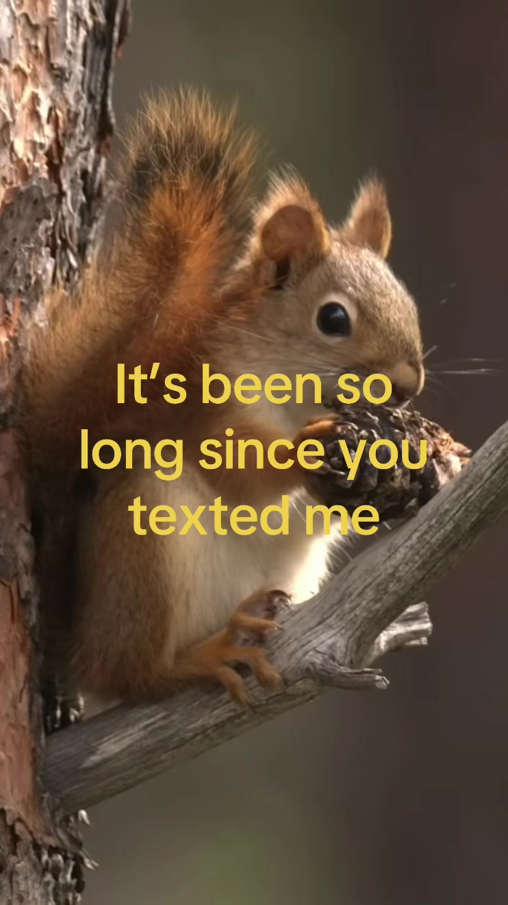 @RICKZ