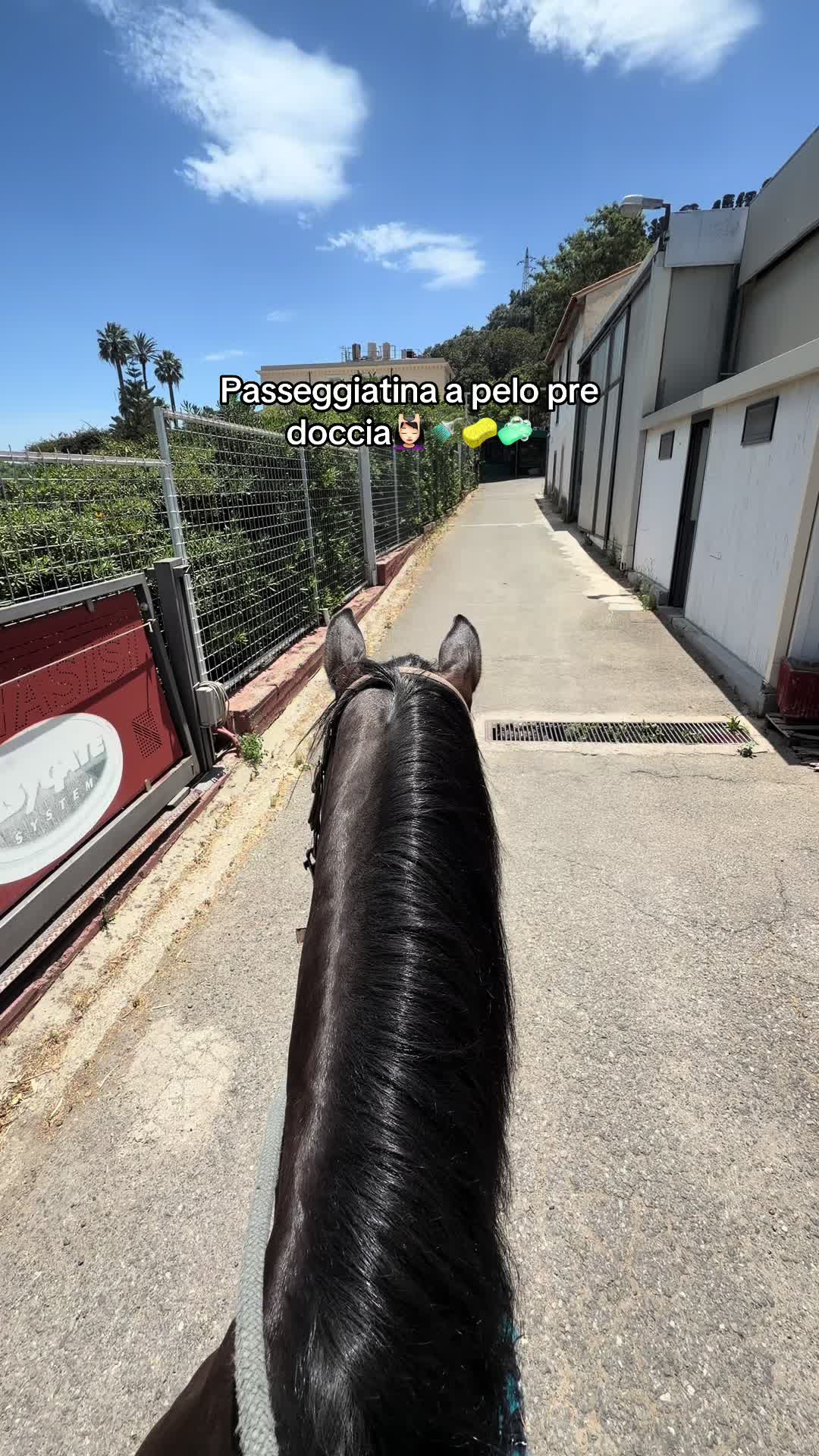 @Rita De Domenico