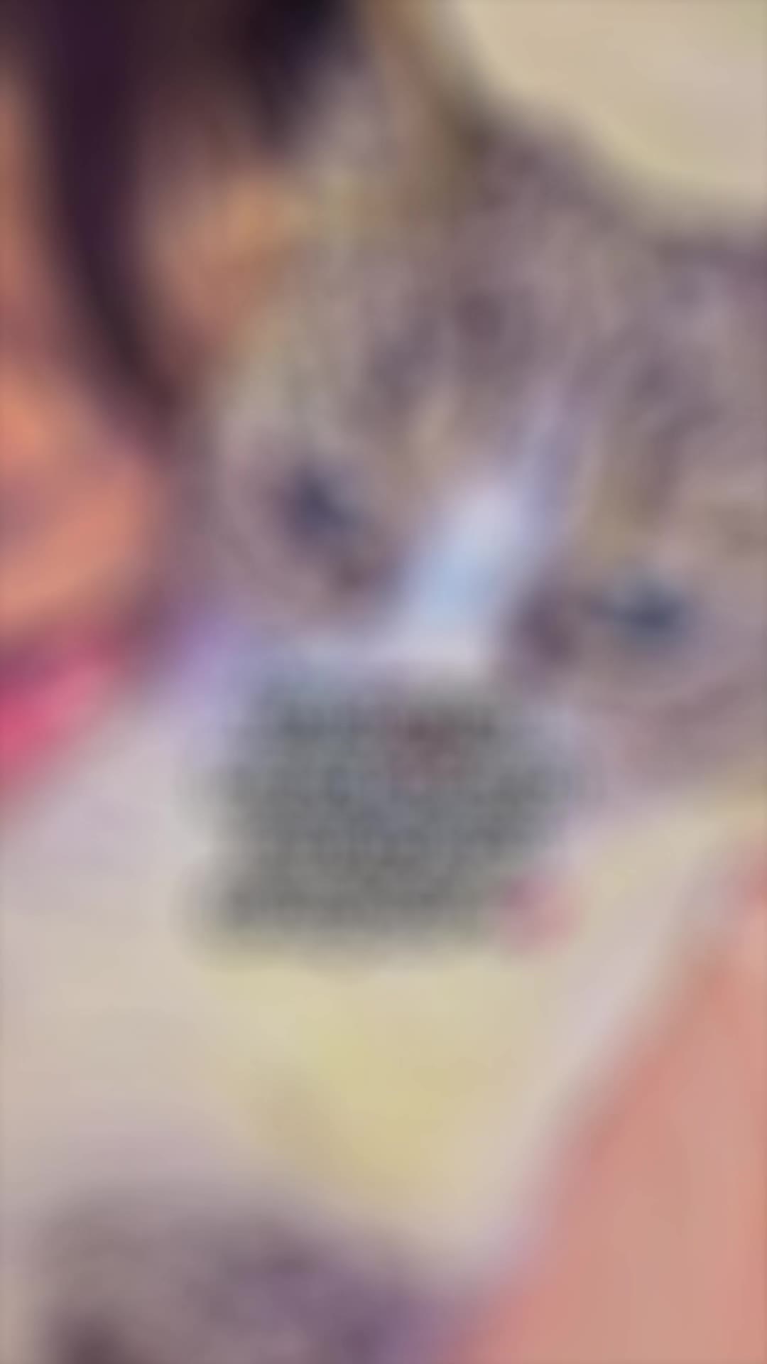 @𝓮𝓿𝓼 !🩶(𝓁𝑜𝓊𝒾𝓈 𝓋𝑒𝓇.)