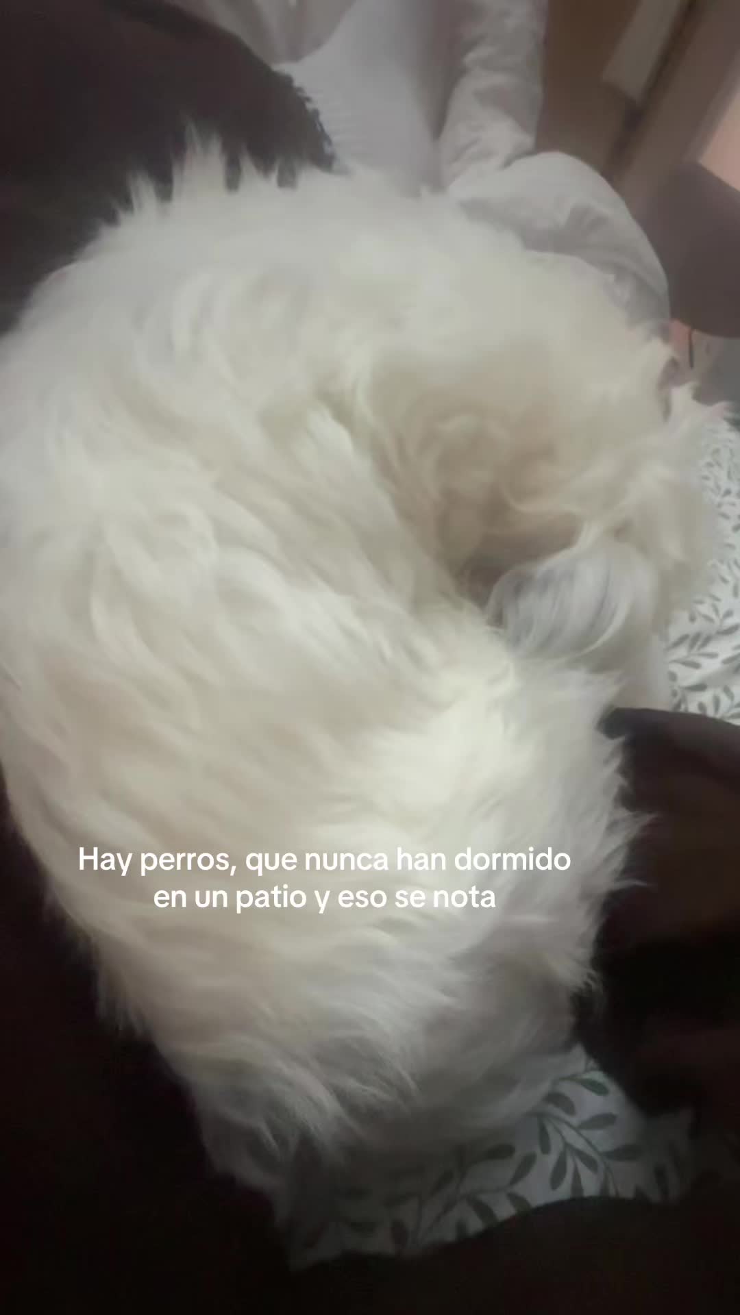 @vickyjoshii_🤍