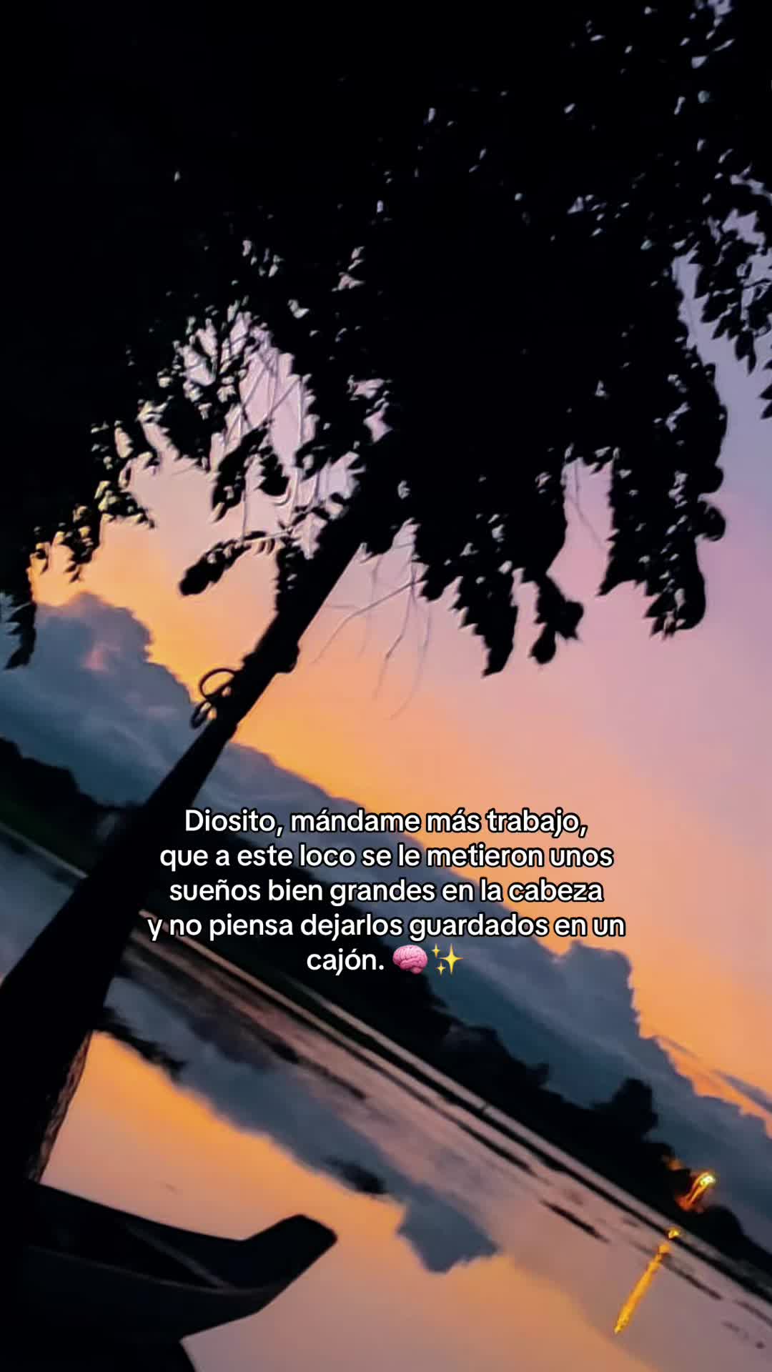 @Jacinto Galarza 🌙