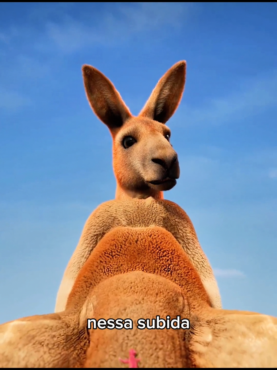 @Curiosity