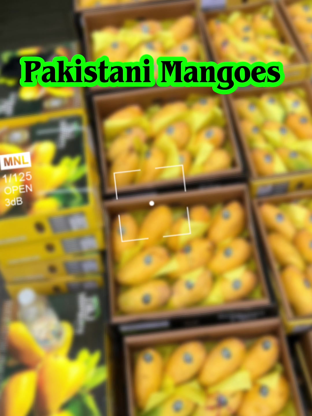 @Mango Man🥭