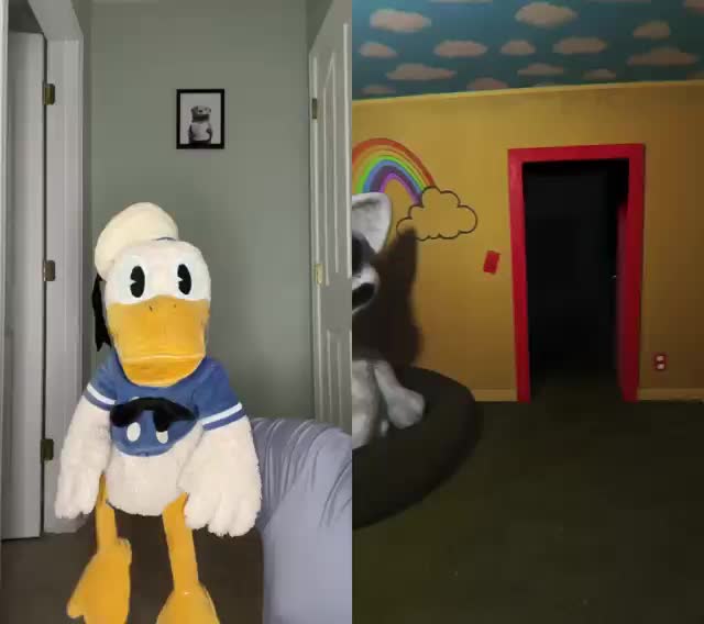@DonaldDucc 🦆