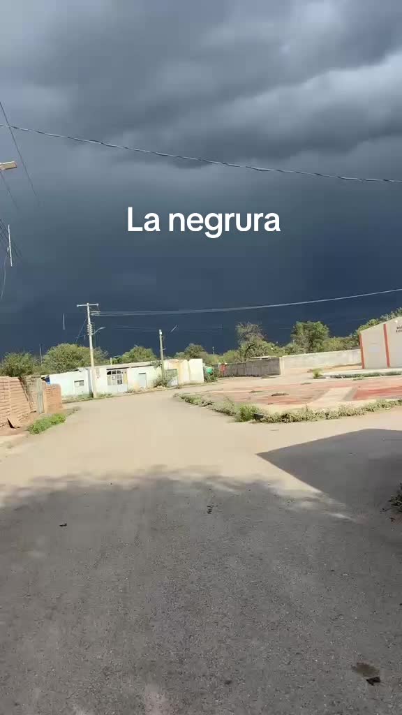 @Salbador orozko
