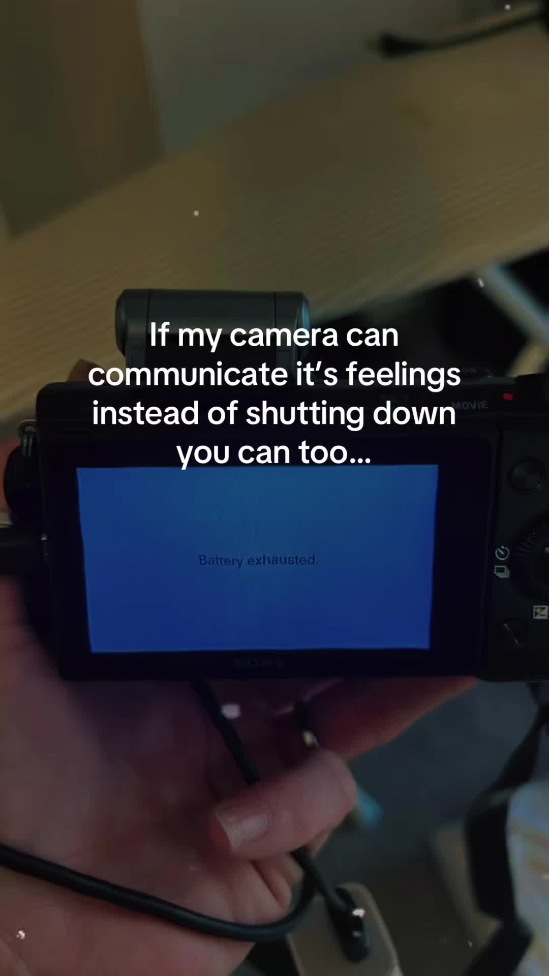 @Amanda⚡️
