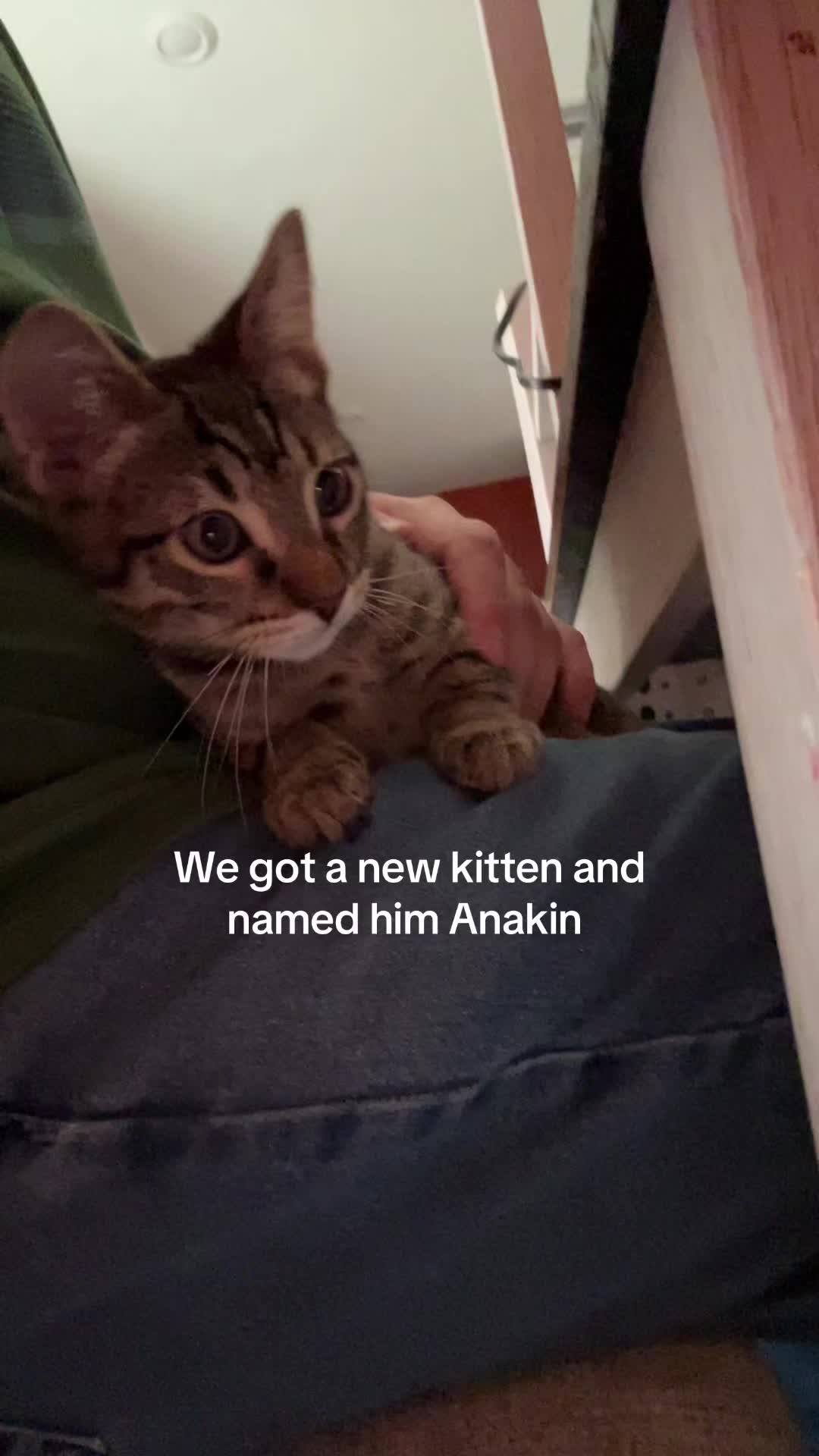 @Jedi-Matt
