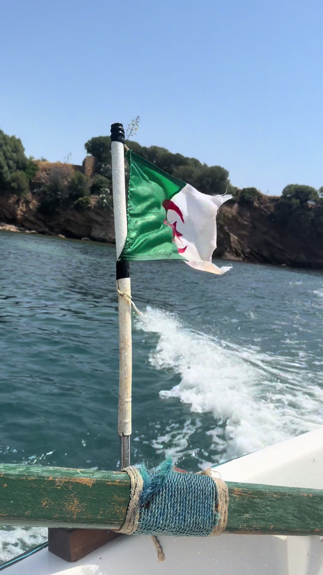 @Nina dz 🇩🇿69🇵🇸❤️