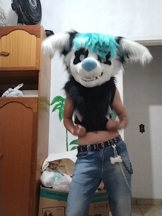 @𐂯✮⋆𝙷𝚞𝚙𝚘𝚕˙𓃡₊˚⊹🐾