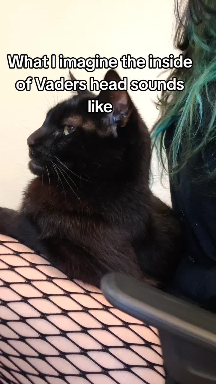 @Celery