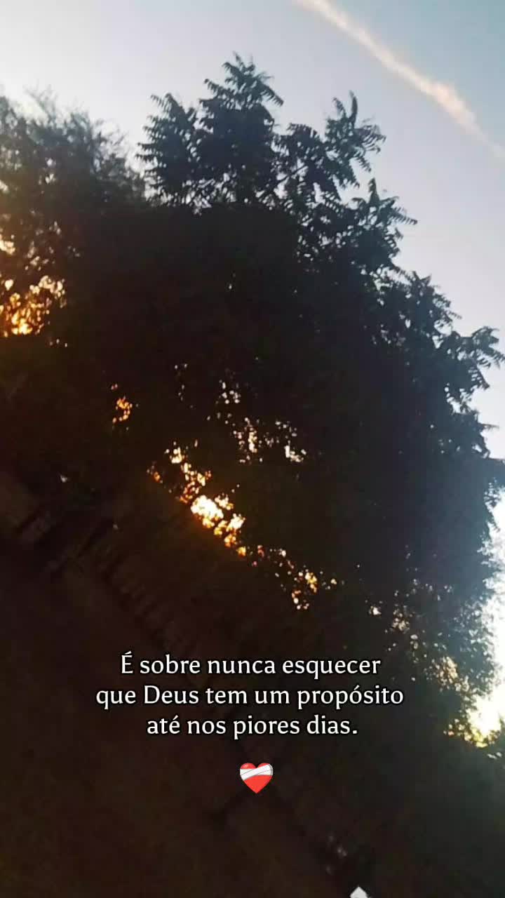 @Suzy Andrade