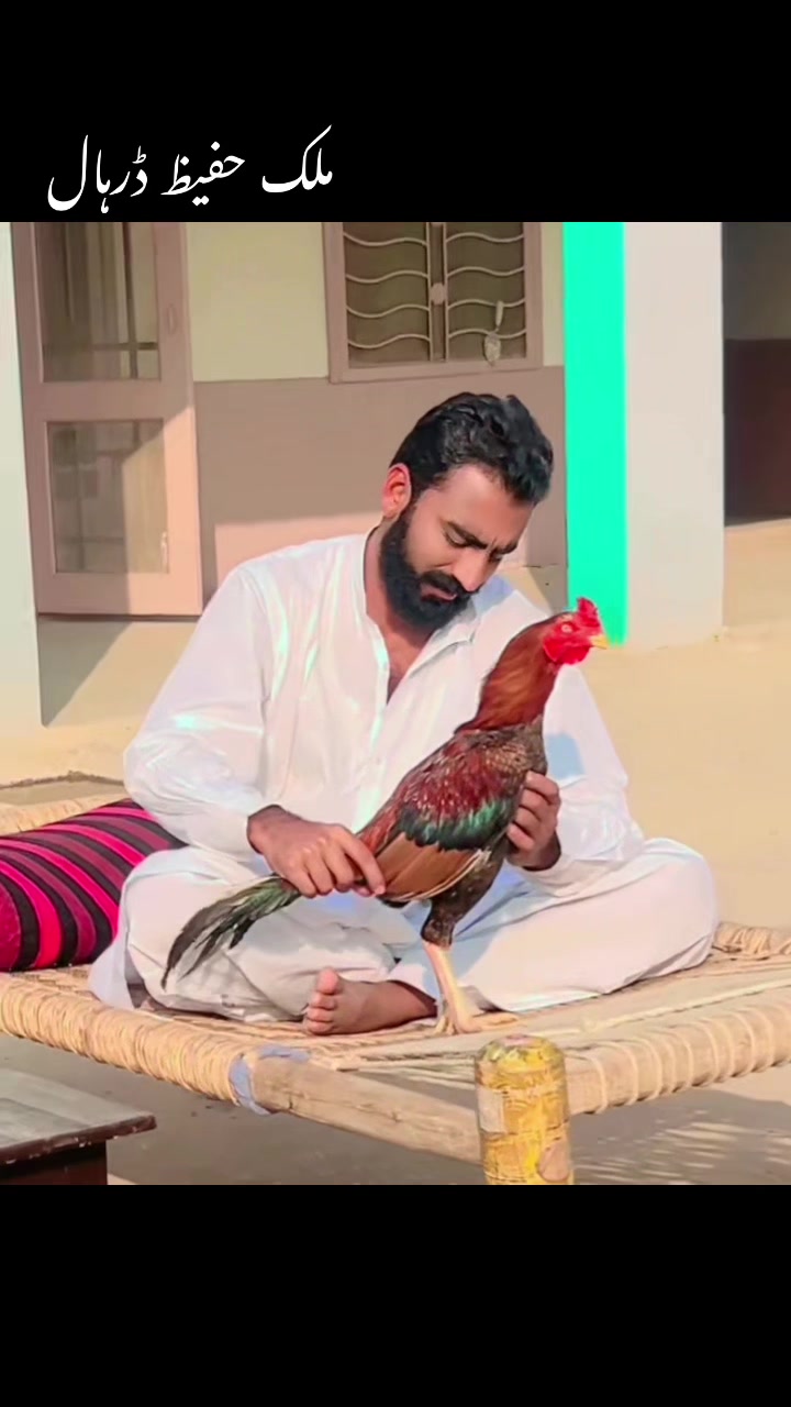 @saeedullahdarhal