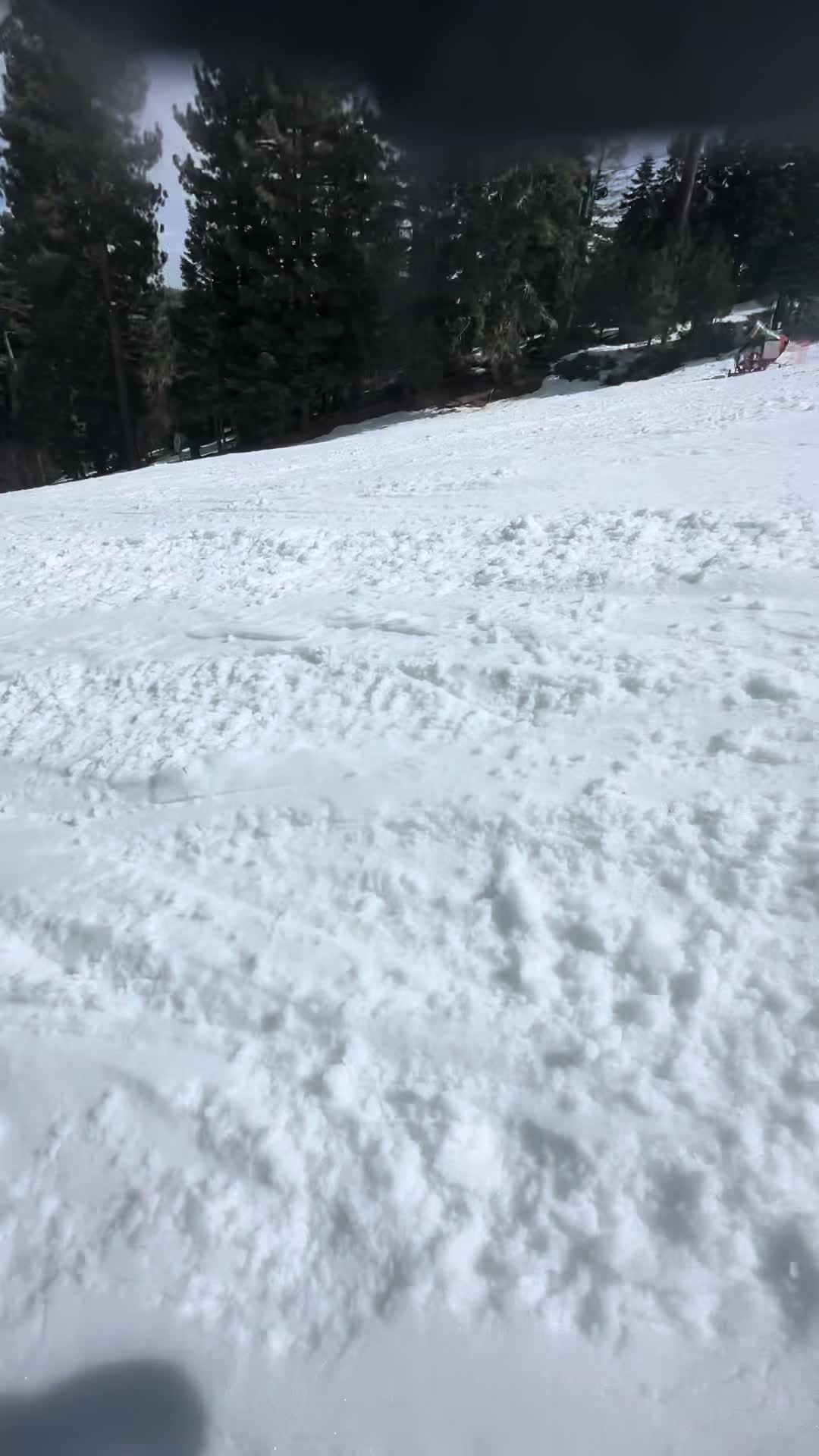 @ilytyler.wav