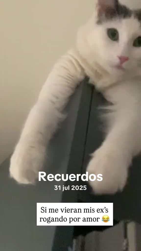 @Cristina Miralles
