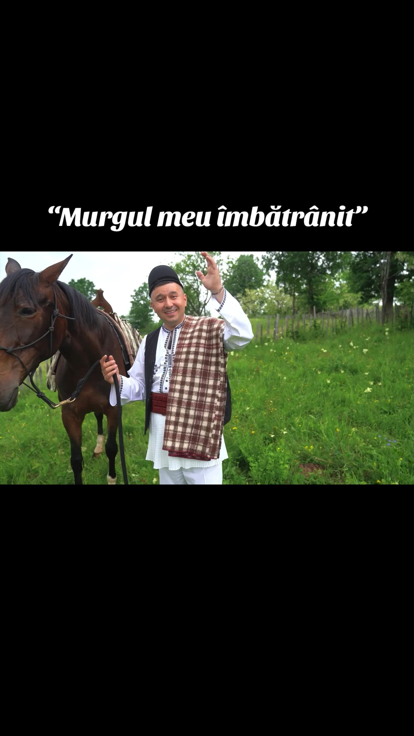 @Marius Tugulescu