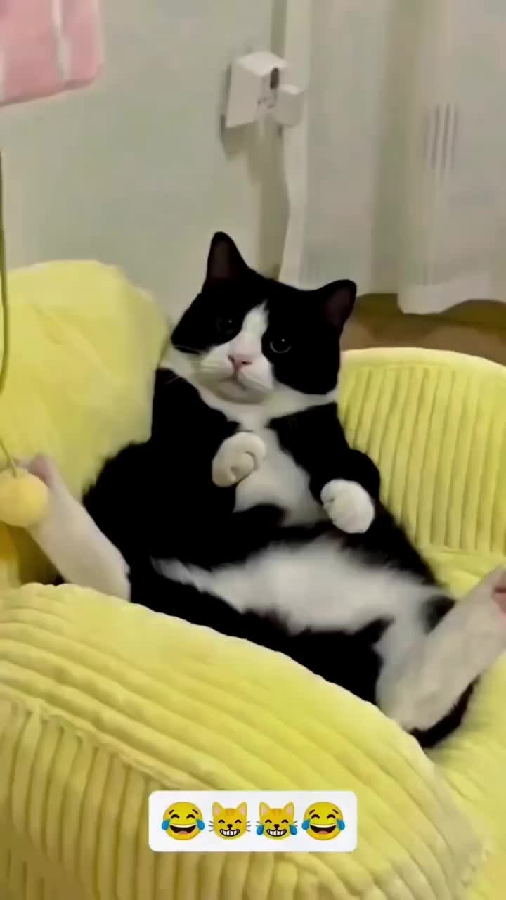 @BongsuNo3