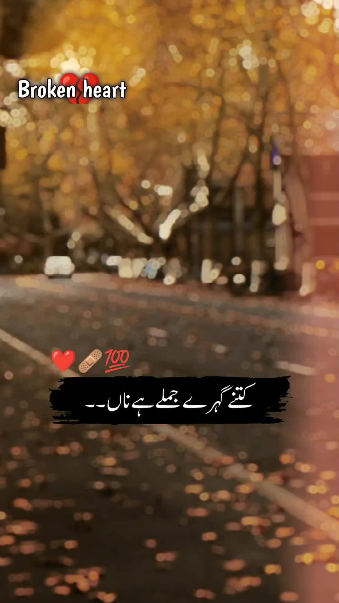 @🍂سرورِ عشق🫀