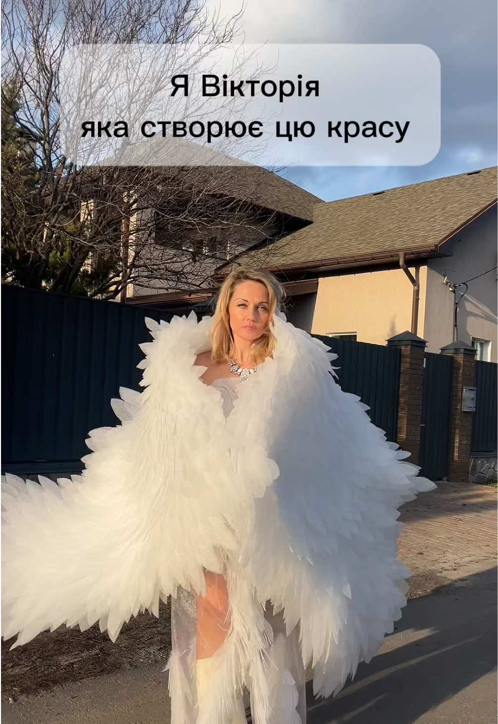 @viva.studio.ua