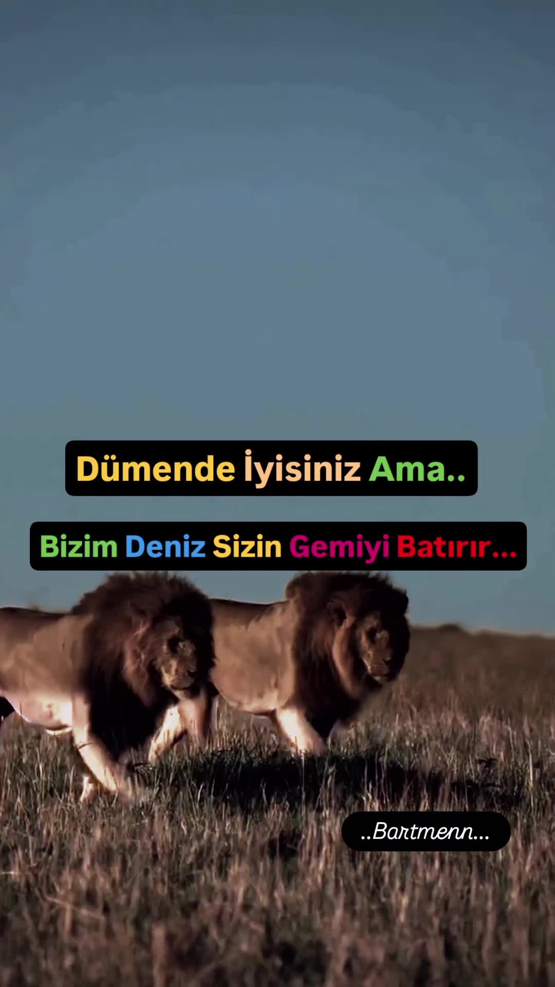 @Bartmenn