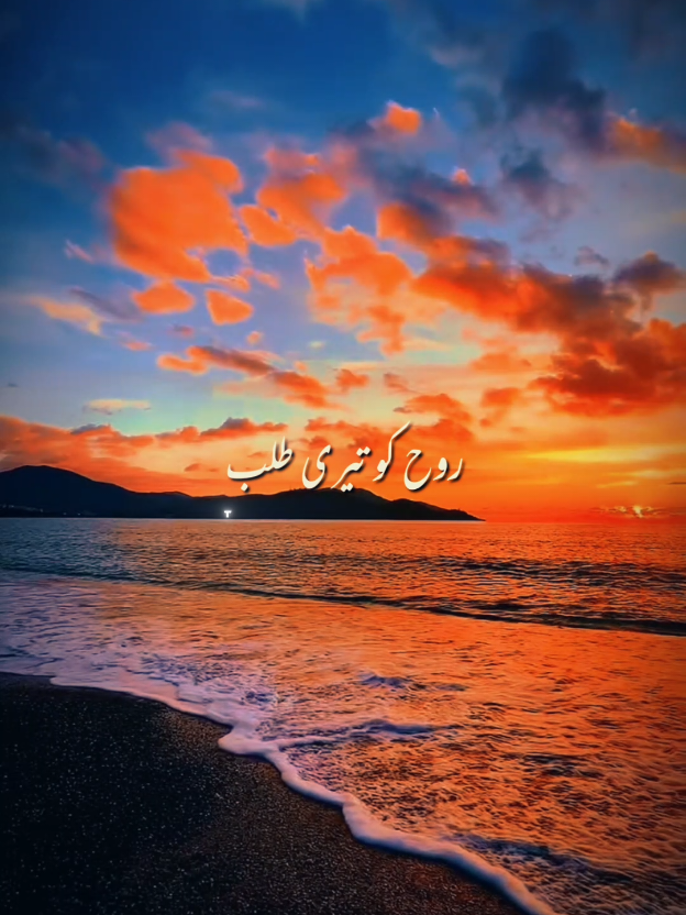 @ð
Žð
Œð
Ÿðð
žð
Ÿð
œð ðð
žð
¶ð
·ðð