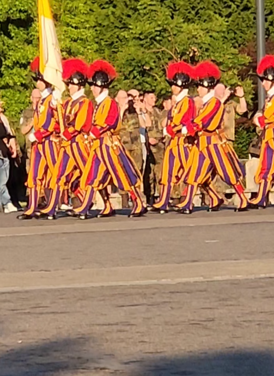 @D.MENEGUZZI