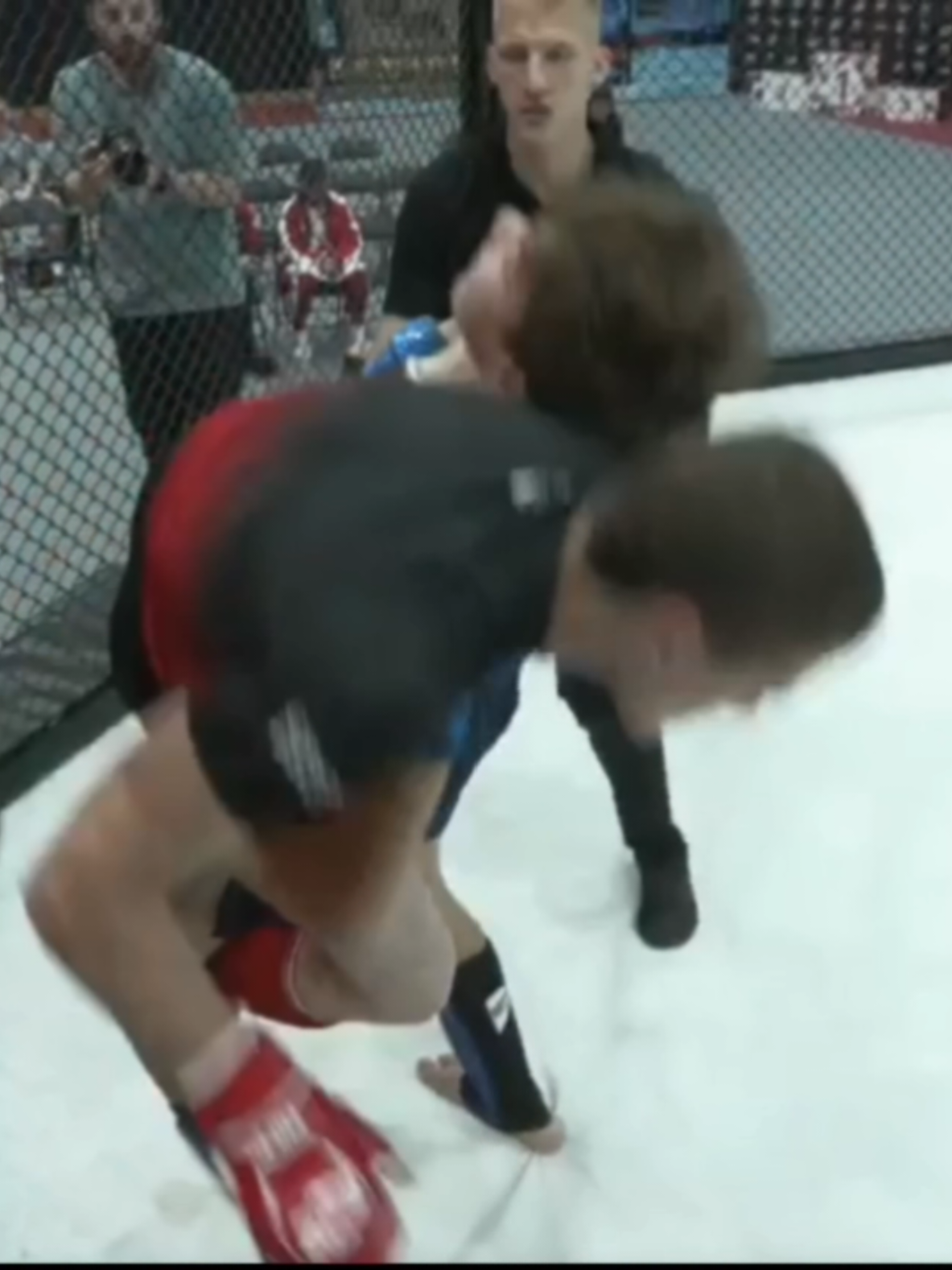 @🥊🤼
