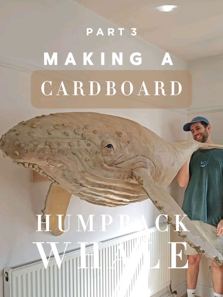 @Josh Gluckstein- Cardboard Art