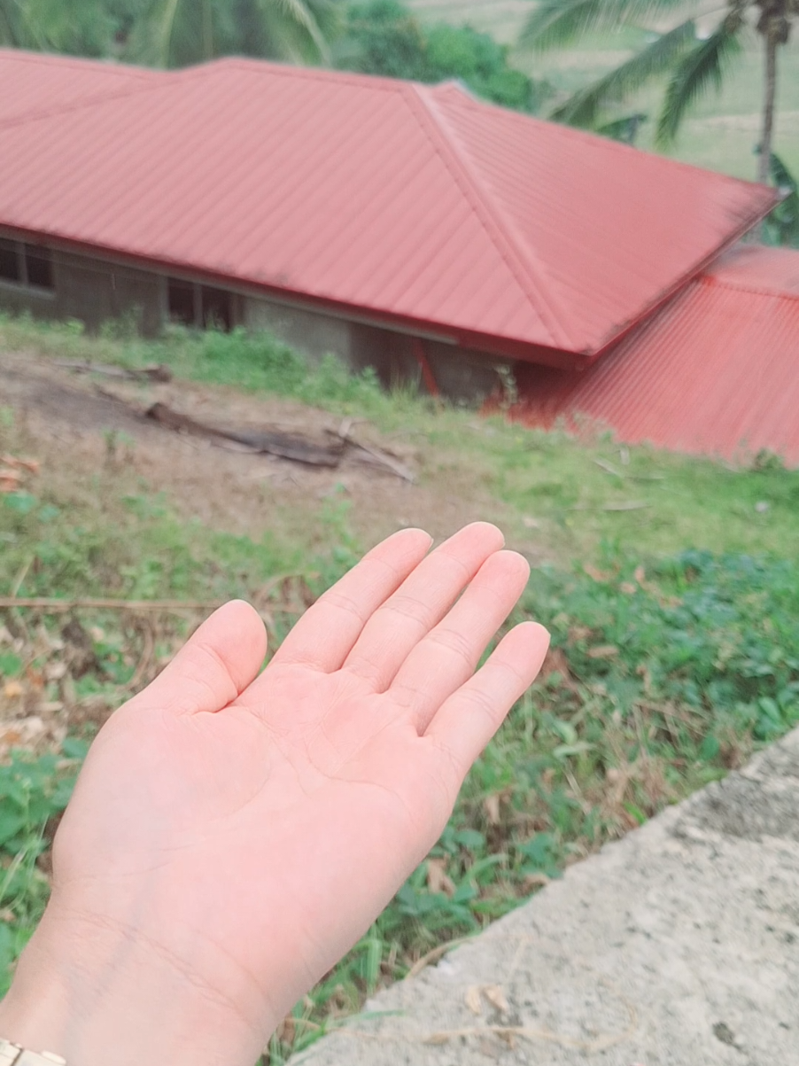 @๊งโฟ๐ถ๐ช๐ป๐ฒ๐ช๐ถโฟ๊ง