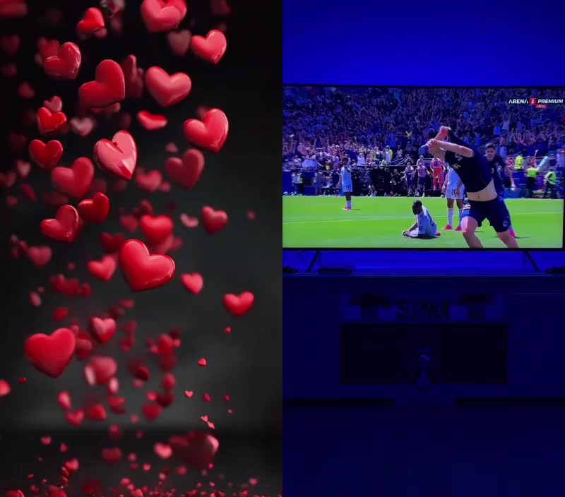 @Nazifa Jahič