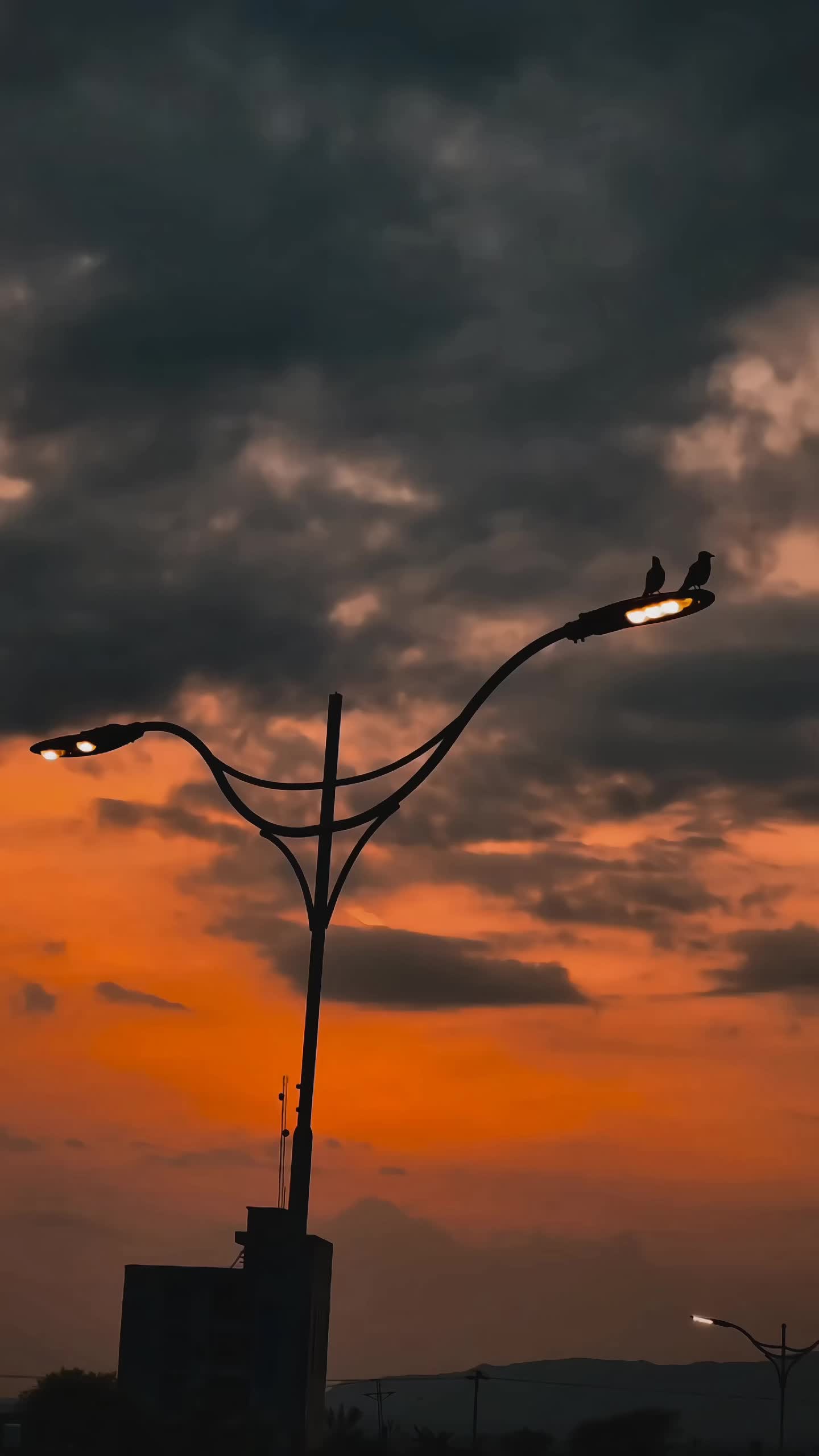@Aesthetic