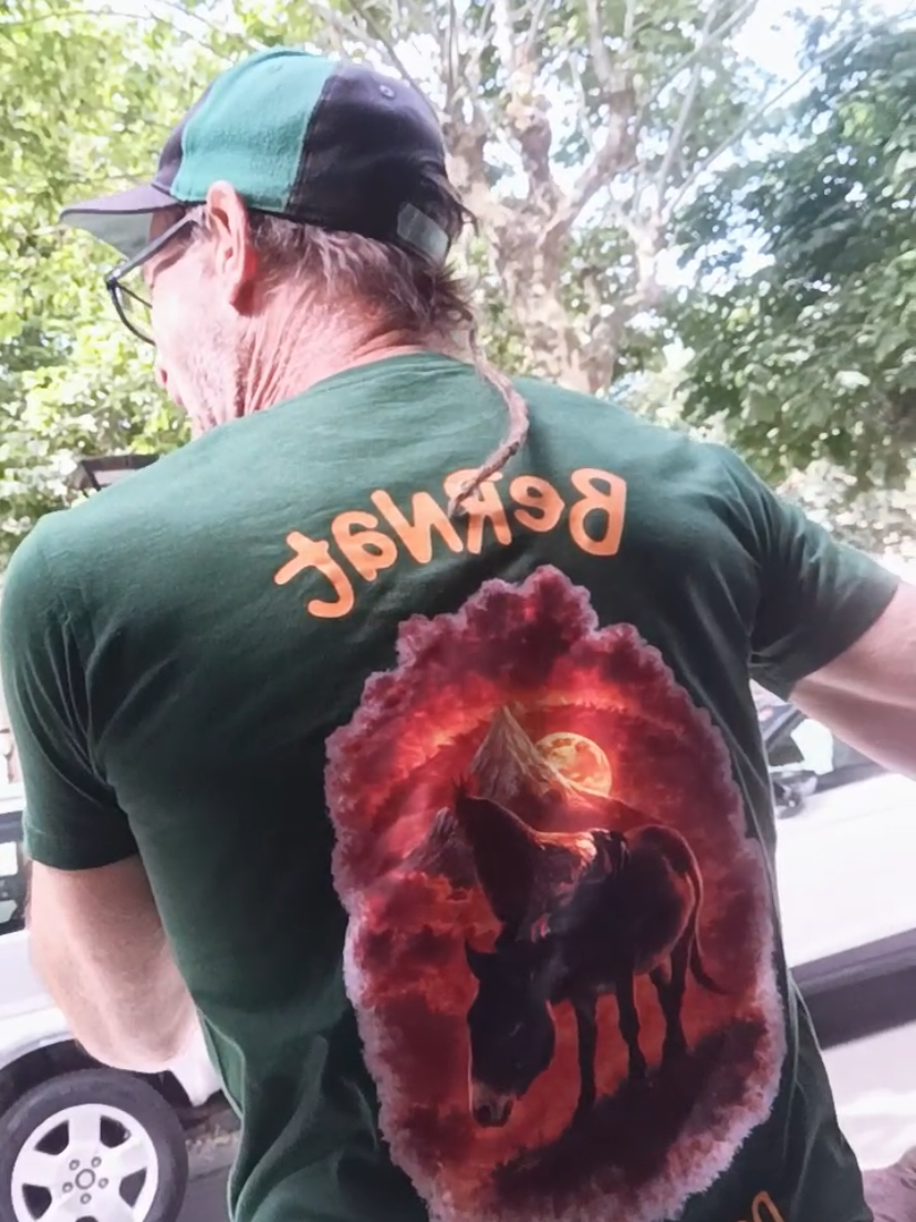 @Mansió de la gran vida