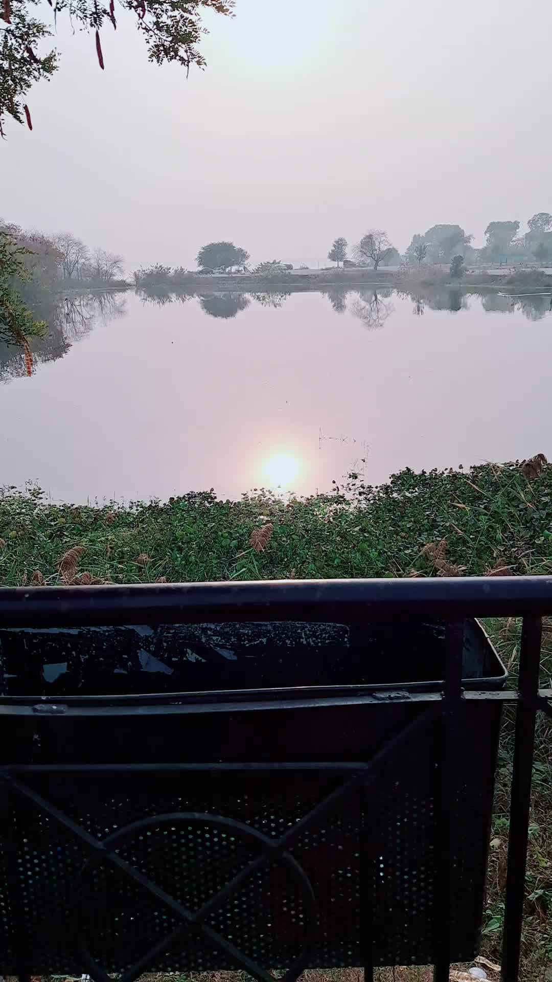 @Qamarkhan78692