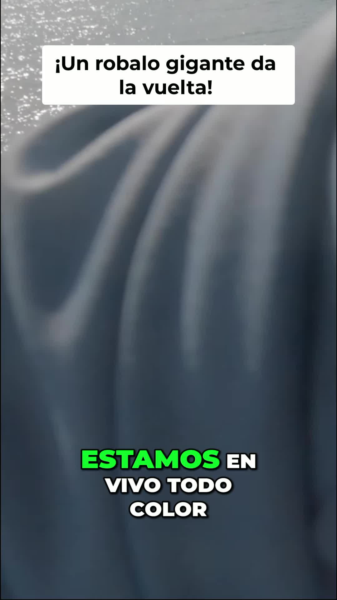 @Raul-Raul